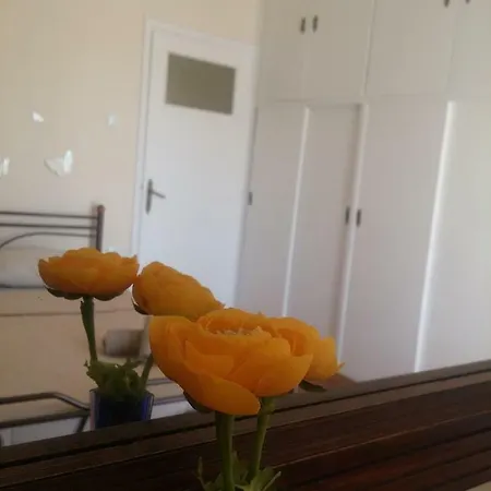 Apartment Twins 2 Minutes From Metro Station Athens